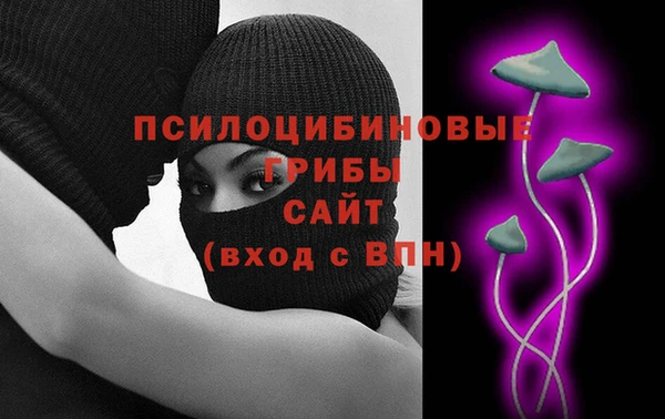 тгк Алзамай