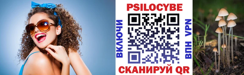 дарк нет как зайти  blacksprut ссылки  Донецк  Псилоцибиновые грибы MAGIC MUSHROOMS 